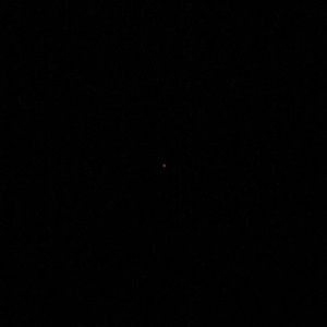 Meet your Posher, Josephine